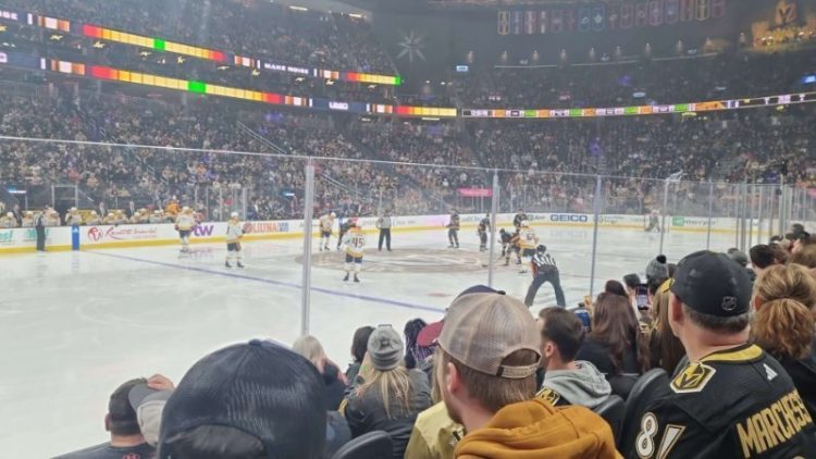 Las vegas knights