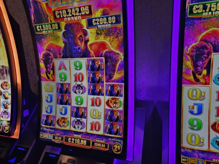 buffalo populairste gokkast Holland Casino